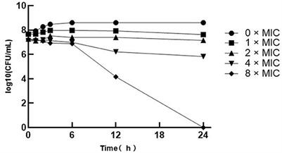 Antibacterial activity and mechanism of sanguinarine against Staphylococcus aureus by interfering with the permeability of the cell wall and membrane and inducing bacterial ROS production